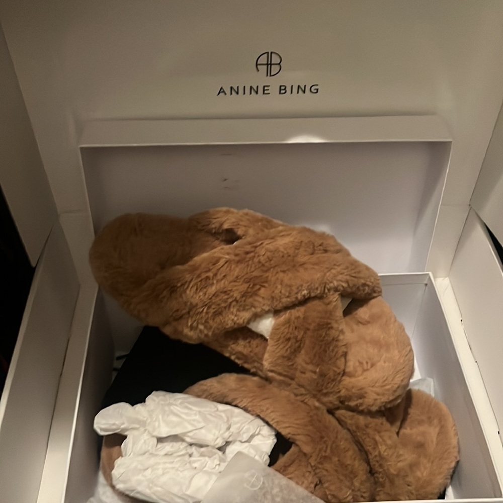 NBW new w box - anine bing lizzie slides